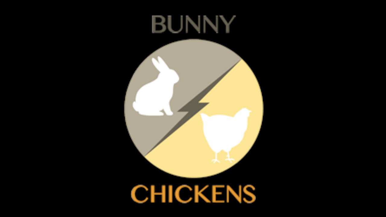 Chickens vs Rabbits