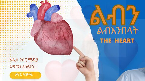 ፈሳሽ አካል(ደም/blood)