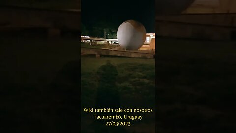 Wiki también sale con nosotros (27/03/2023)