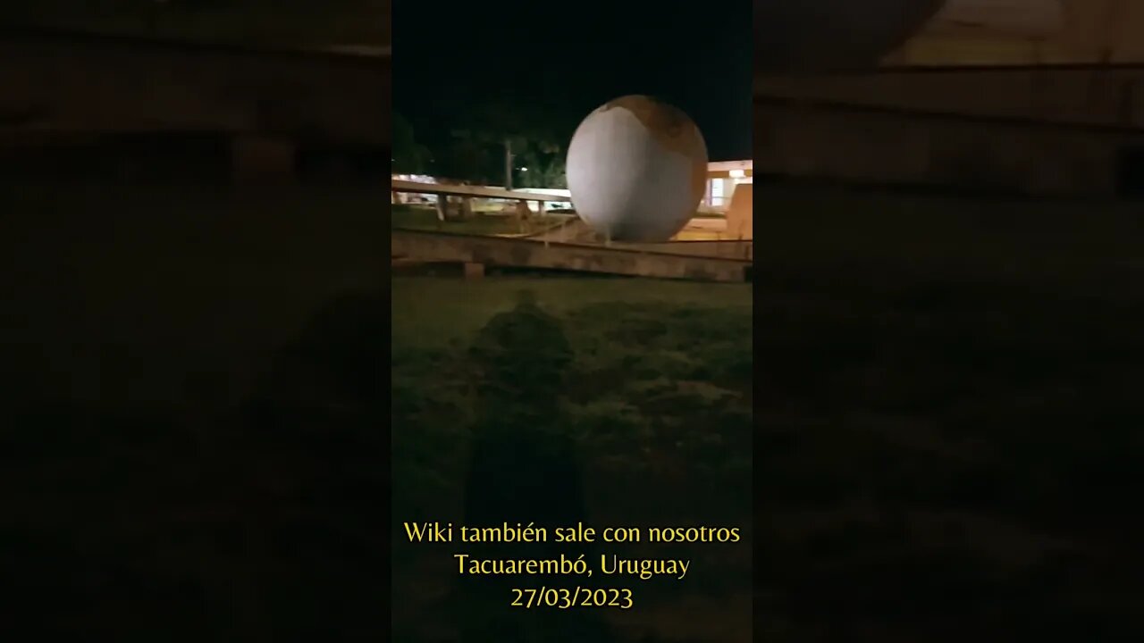 Wiki también sale con nosotros (27/03/2023)