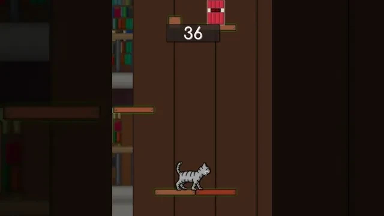 Cat Parkour - Android Gameplay [11+ Mins, 480p60fps]