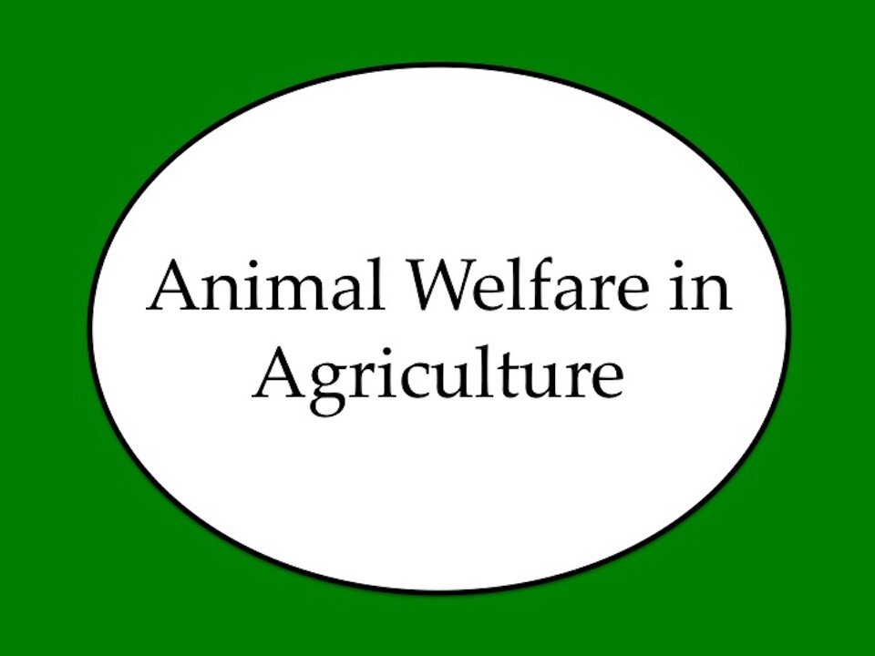 Animal Welfare in Agriculture