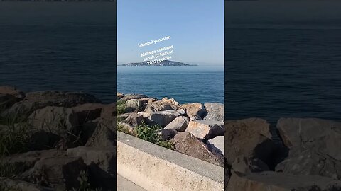 Maltepe sahilinde 2 Haziran 2023'te kendi çektiğim video #yunus #deniz #dolphin #maltepe #istanbul