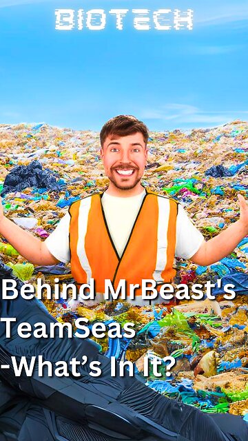 The Truth Behind MrBeast's TeamSeas