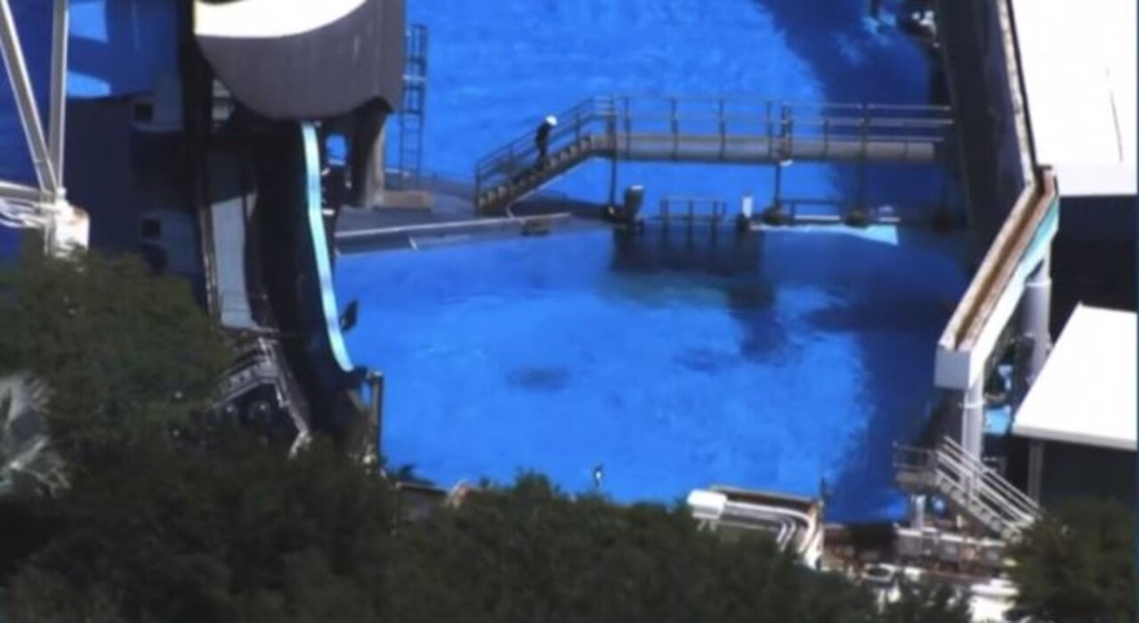 SeaWorld lays off nearly 1,900 employees, report says