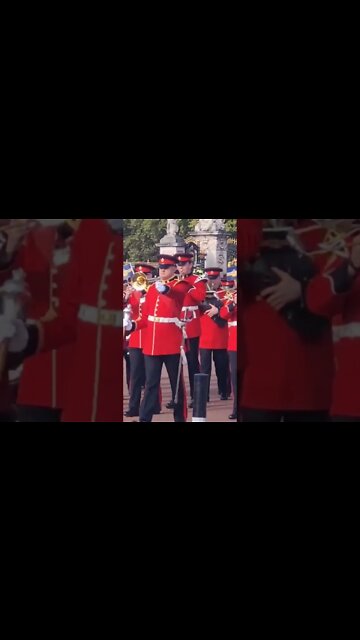 The cold stream Guards marching to the Wellington barracks #horseguardsparade