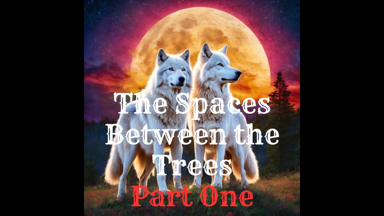 The Spaces Between the Trees - Part One