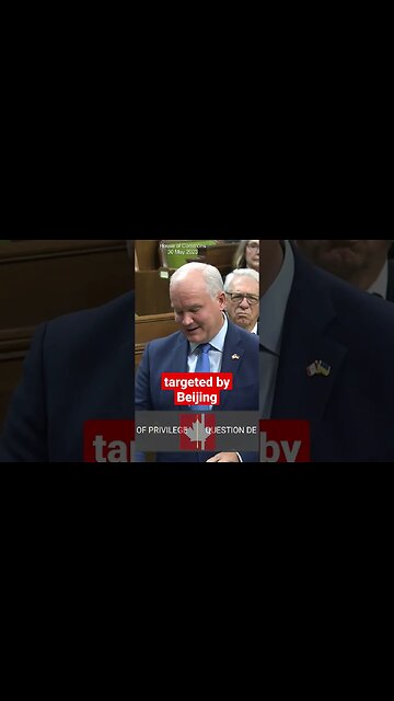 Erin O'Toole & Conservatives were targeted by Beijing in 2021 elections: CSIS