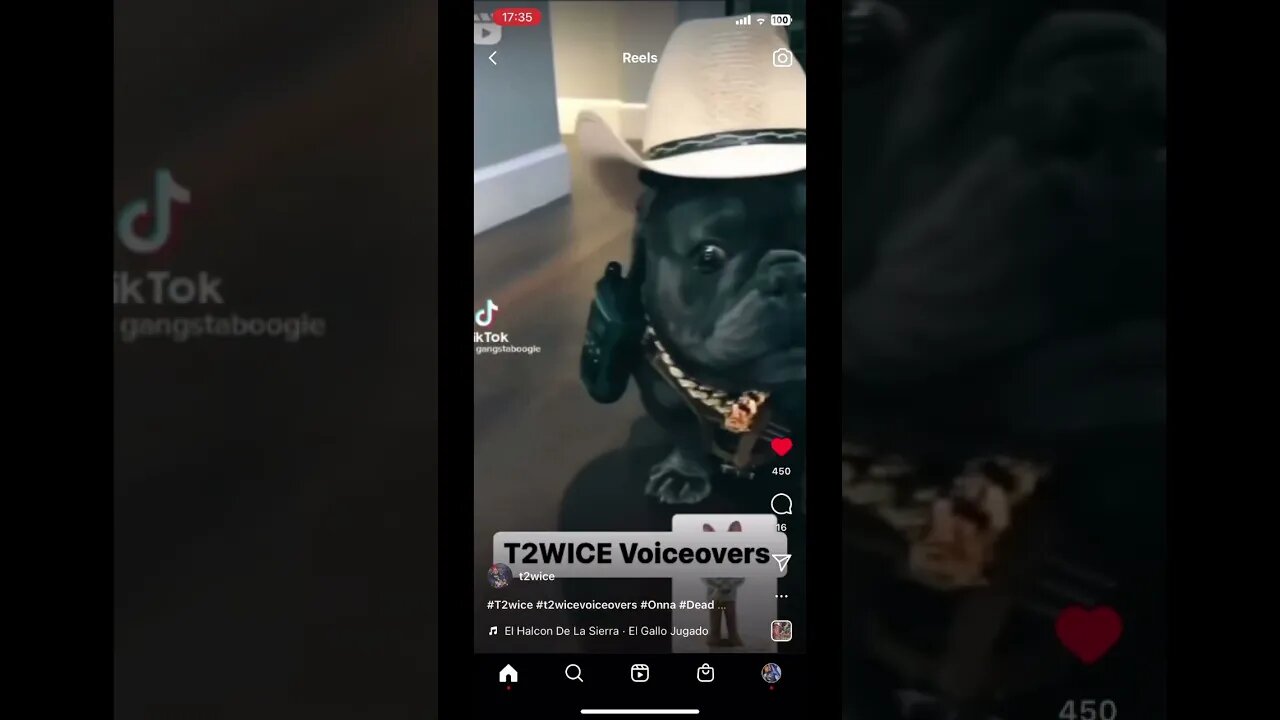 My dogs got shit on lock in the cod office well one do 😂😂😂😂