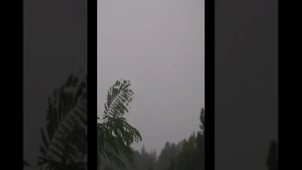 いきなり大雨と雷がやばい#shorts