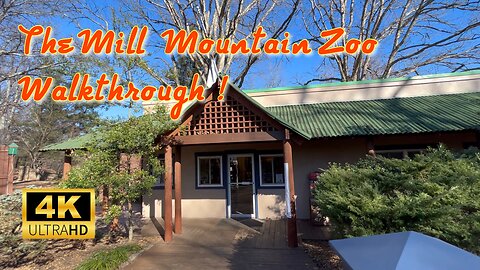 The Mill Mountain Zoo Walkthrough! The Smallest Zoo I Ever Visited! #zoo #animals #virginia