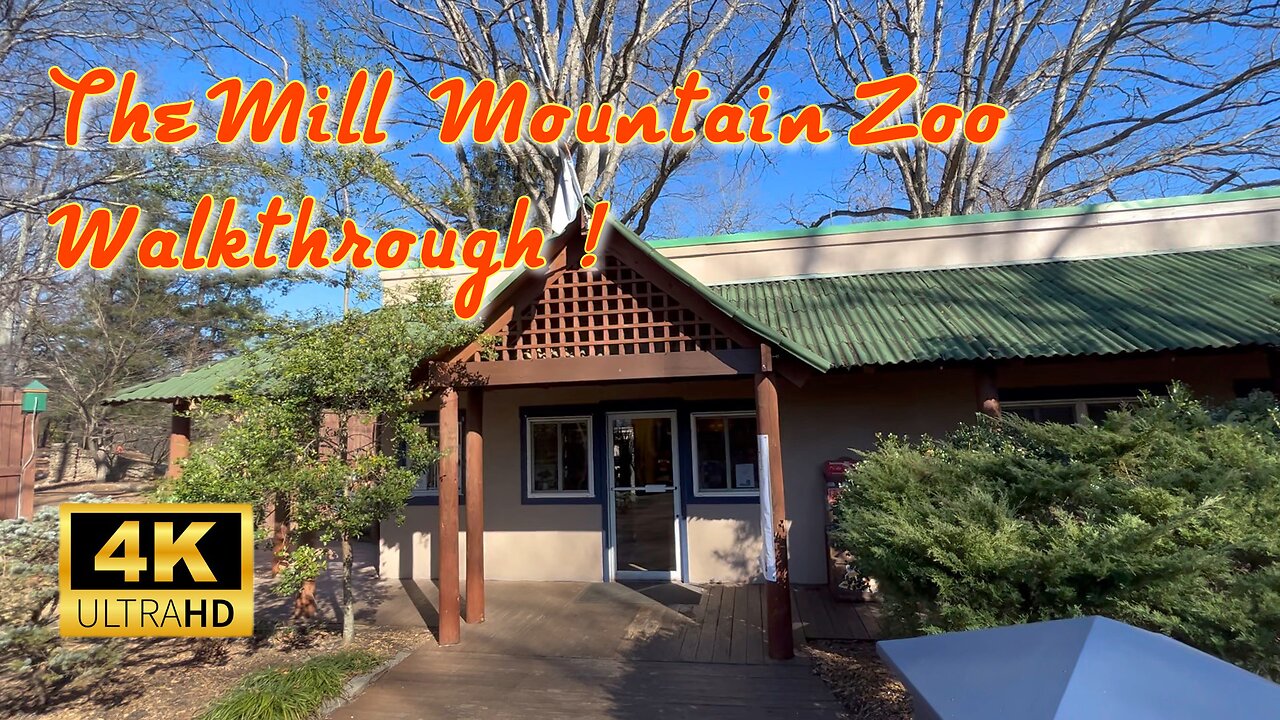 The Mill Mountain Zoo Walkthrough! The Smallest Zoo I Ever Visited! #zoo #animals #virginia