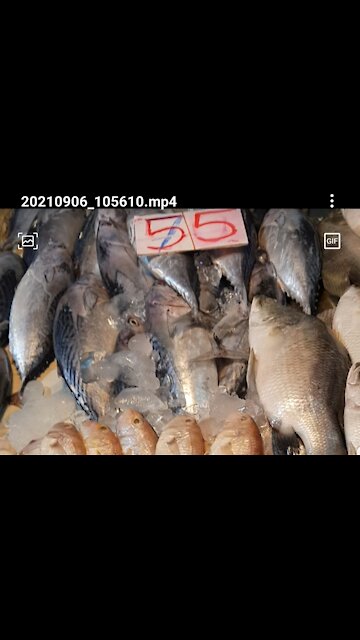 FISH IN THAILAND IS REALLY CHEAP AT WET MARKET!