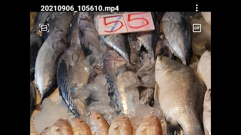 FISH IN THAILAND IS REALLY CHEAP AT WET MARKET!