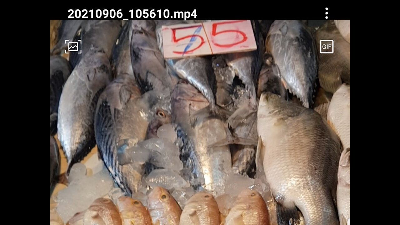 FISH IN THAILAND IS REALLY CHEAP AT WET MARKET!