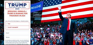 Trump Simps Are Braindead Retards