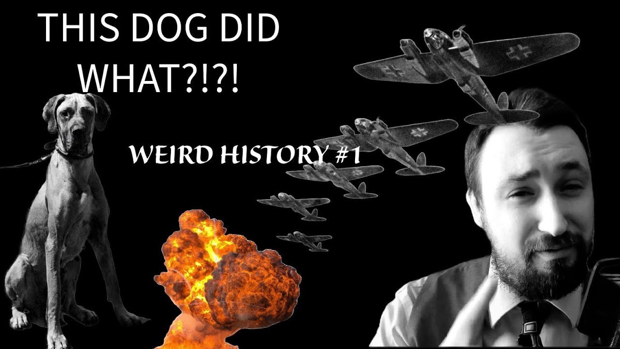 Weird History Facts I BET YOU DIDN'T KNOW! PRT1