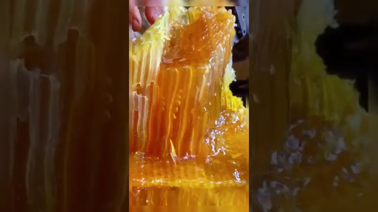 Viral and Trending Tiktok Shorts Video of 2022 most views #shorts #trending #freefire #freefire2022