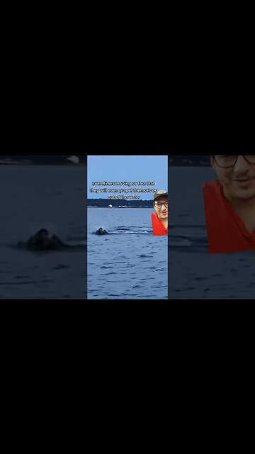 Bluefin tuna are BEASTS