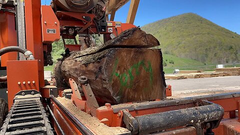 FIRST TIME SAWING BUTTERNUT WOOD ON THE LT40 WOODMIZER 204