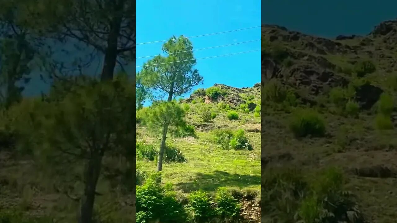 #viral #ytshorts #trending #familyouting #learning #nature #subscribe #support #learning#shorts