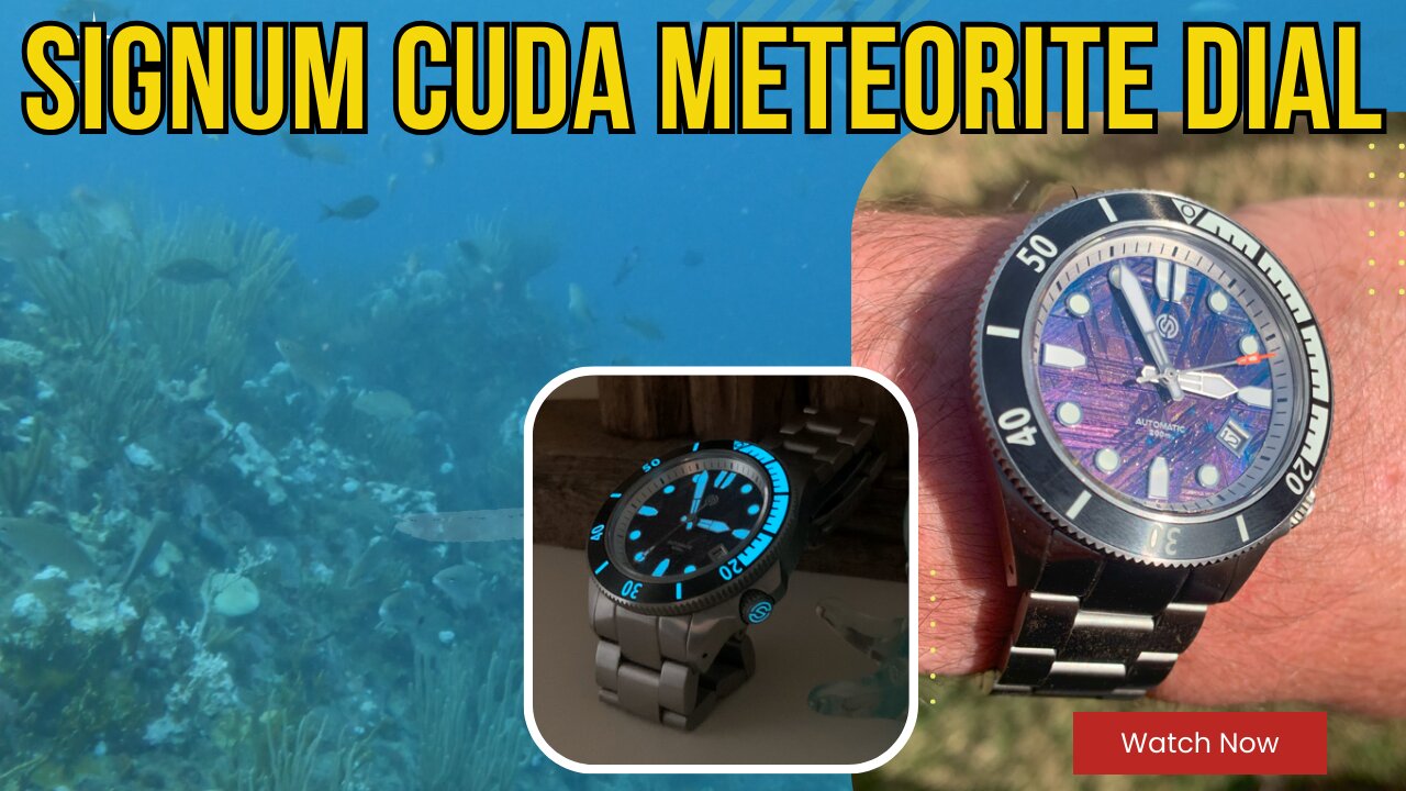 SCUBA Diving with a Signum Cuda Meteorite Dial at Virgin Gorda, British Virgin Islands