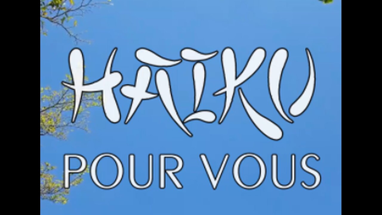 HAIKU POUR VOUS