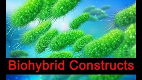 Biohybrid Constructs