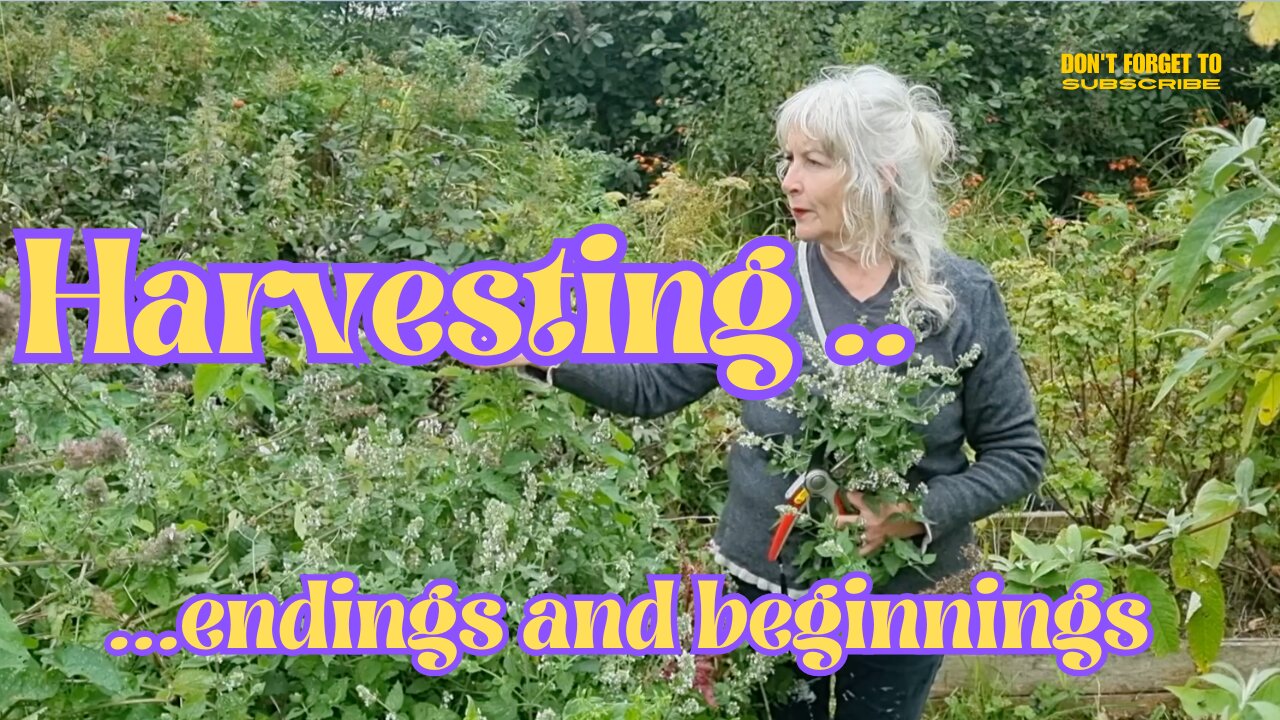 Harvesting - endings and beginnings