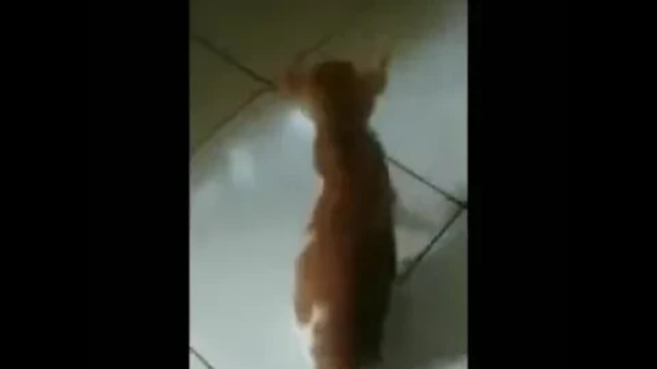 boot not working