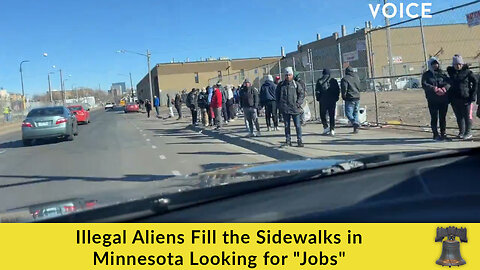 Illegal Aliens Fill the Sidewalks in Minnesota Looking for "Jobs"