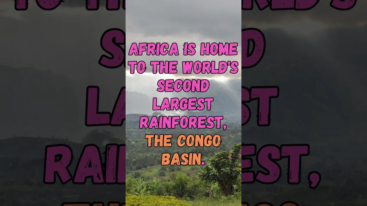 🌳Discover Fascinating Nature Facts👀#shorts #shortsfact #naturefacts #rainforest #congo #forest #2nd