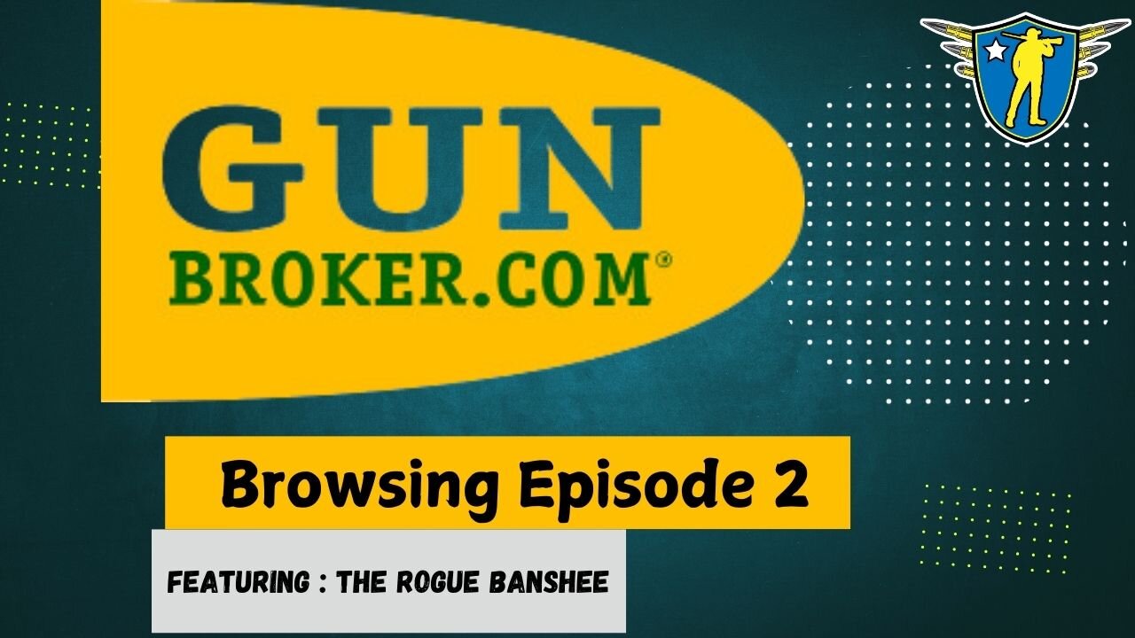 Gunbroker Browsing Episode 2 With Special Guest Rogue Banshee