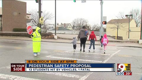 Pedestrian safety proposal