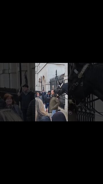 horse nibbles the shoulder #horseguardsparade