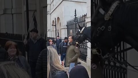 horse nibbles the shoulder #horseguardsparade