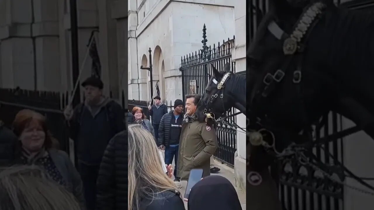 horse nibbles the shoulder #horseguardsparade