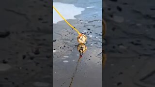 Magnet Fishing in the Ice