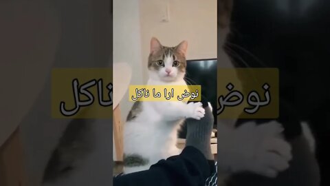 نوض ارا ما ناكل