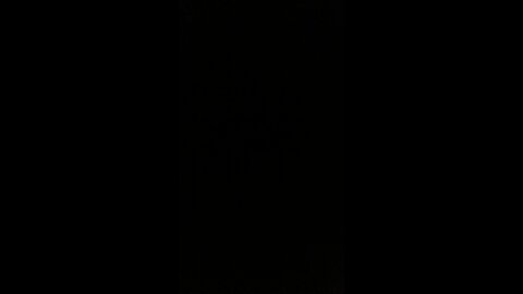 How to pronounce lunatic liberal