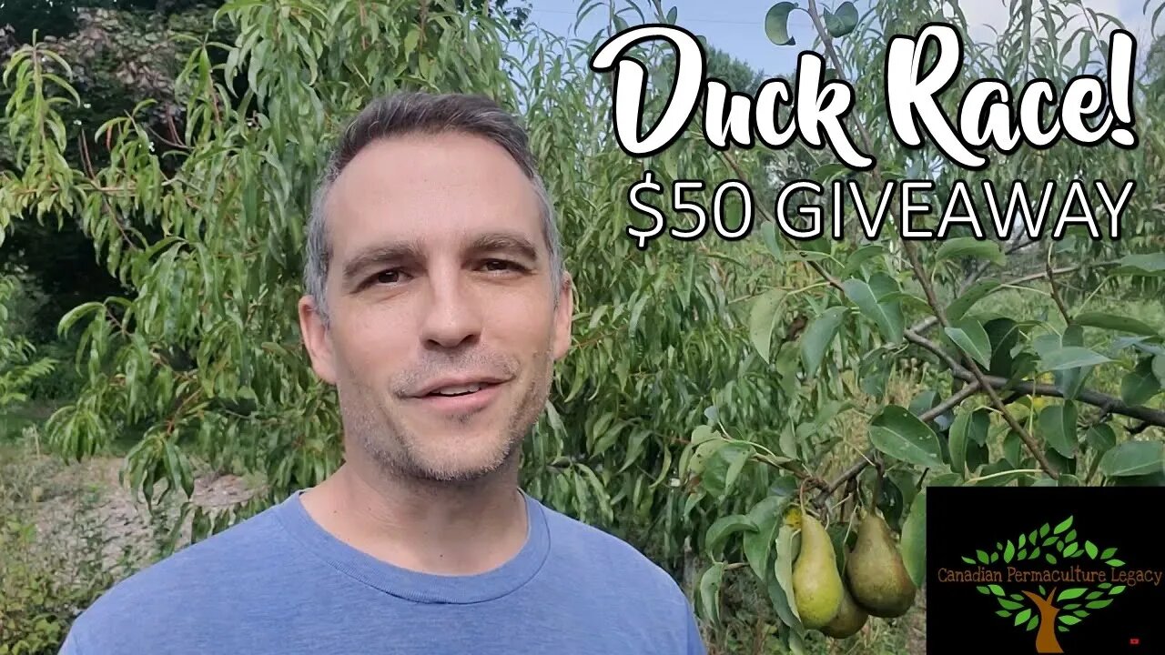 The Duck Race is here! $50 West Coast Seeds giveaway.