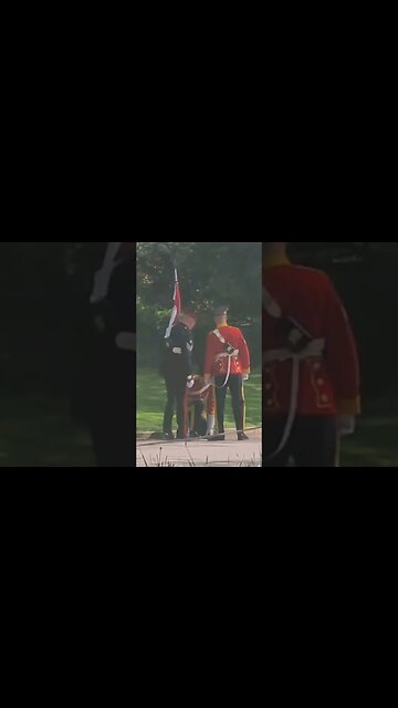 Kings guard collapses in Hyde Park #horseguardsparade