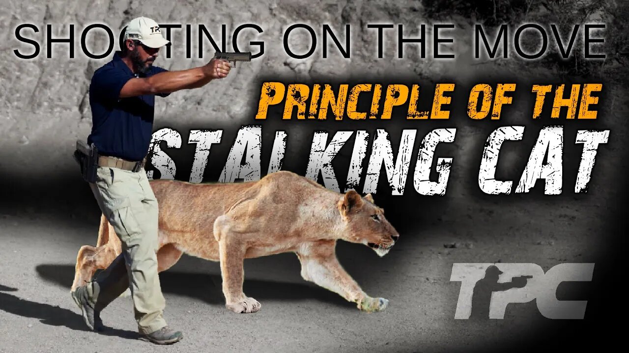 Mastering Shooting On The Move: The Stalking Cat Principle