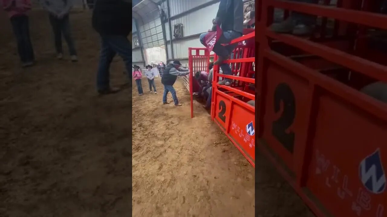 Mutton bustin’!!! #cowboy #cowgirl #rodeo #muttonbustin #goodride #farmkids #ranchkids