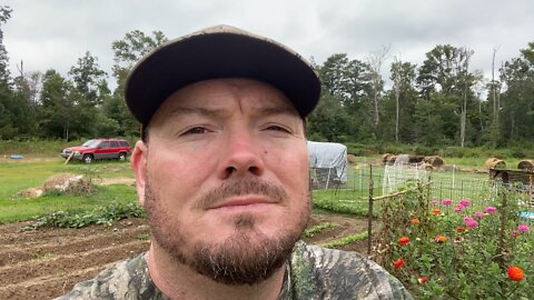 Daylight farm tour.