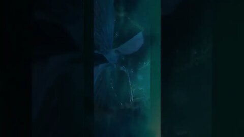 The Little Mermaid Vs Godzilla