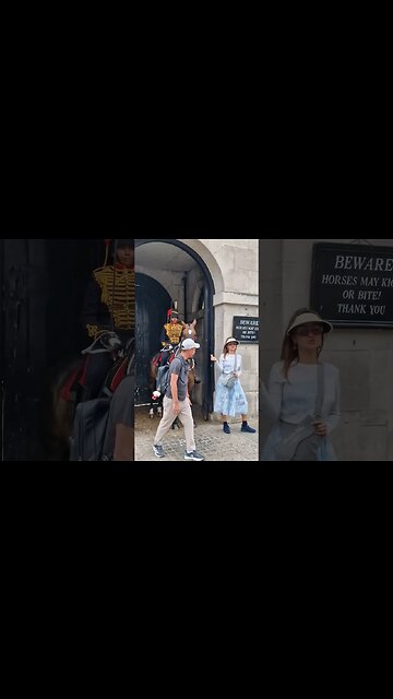 Horse puts down his foot with these two #horseguardsparade