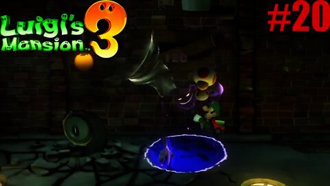 TOAD RESCUE!!!: Luigi's Mansion 3 #20