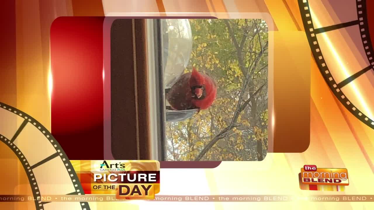 Art's Cameras Plus Picture of the Day for December 1!
