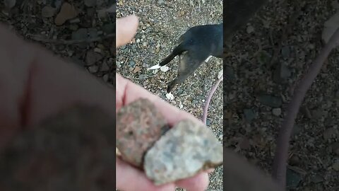 River walk #swollenriver #spring